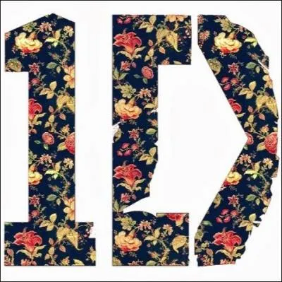 Qui a trouvé le nom "One Direction" ?