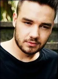 De 2013 à aujourd'hui, avec qui Liam Payne est-il en couple ?