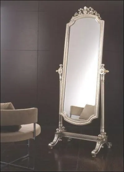 Miroir, mon beau miroir, fais-moi plaisir, donne-moi ton nom !