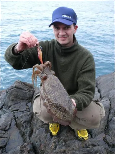 Très utilisé pour la pêche de seiches et autres calmars, ce leurre porte un nom très évocateur !