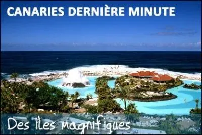 Les îles Canaries sont une communauté autonome espagnole. Mais quelle est la signification du nom Canaries ?