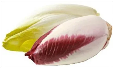 L'endive constitue une bonne source de minéraux, notamment de sélénium et de vitamine B9. Mais, comment l'appelle-t-on dans le nord de la France ?