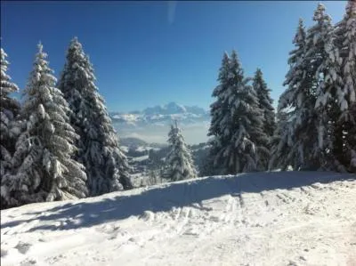 Complétez les paroles de ce chant de Noël, dont le titre et les paroles en français sont dus à Francis Blanche. "Vive le vent, vive le vent, vive le vent d'hiver, qui s'en va sifflant soufflant dans...
