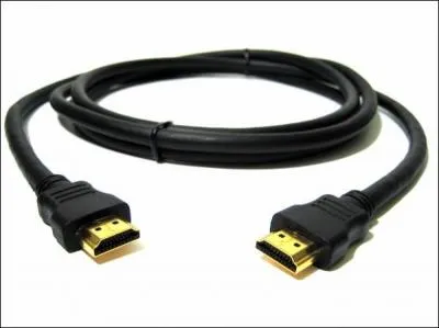 Le cable HDMI fait passer le son et l'image.