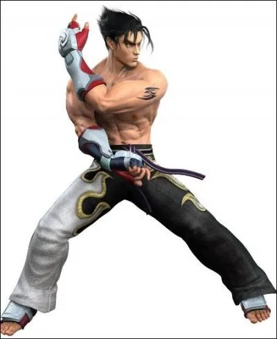 De quel jeu vidéo de combat sont issus les personnages Yoshimitsu, Marshall Law ou encore Armor King ?