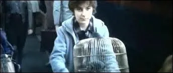 Comment s'appelle le fils aîné de Harry ?