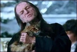 Quelle est sa particularité ?