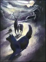 Pourquoi s'appelle-t-il comme cela ?