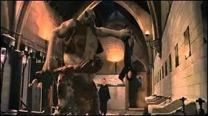 Quel professeur de Poudlard a fait entrer un troll à Halloween ?