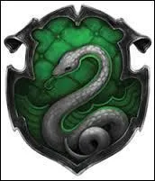 Quel professeur était à Serpentard ?
