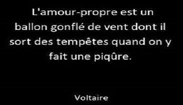 Quelle est la valeur des verbes conjugués au présent dans la citation ci-contre ?