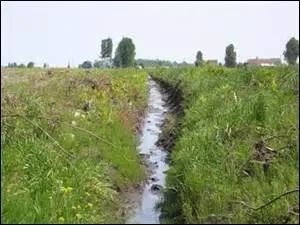 Que devrait vous inspirer cette "cassure" rigolant dans le pré et aux bords instables ?