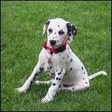 Quel est ce "Disney" ?