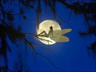 Complétez ce proverbe : "La nuit...