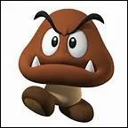 Comment s'appelle-t-il ?