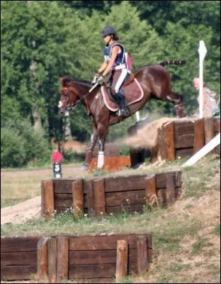 Obstacles de cross : Quel est le nom de cet obstacle ?
