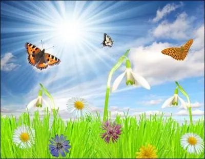 Au programme : audaces, frissons, émotions, passions, techniques. Quelle est la spécificité de la Coupe Icare qui a lieu en septembre à Saint-Hilaire du Touvet, en Isère ?