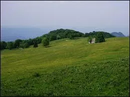 Un pr&eacute; est....