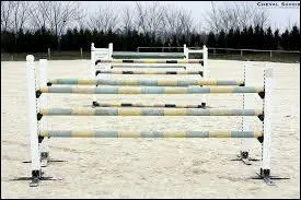 P&eacute;n&eacute;lope Leprevost est une cavali&egrave;re de...