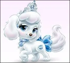 A qui appartient cet animal ? (elle est esclave)