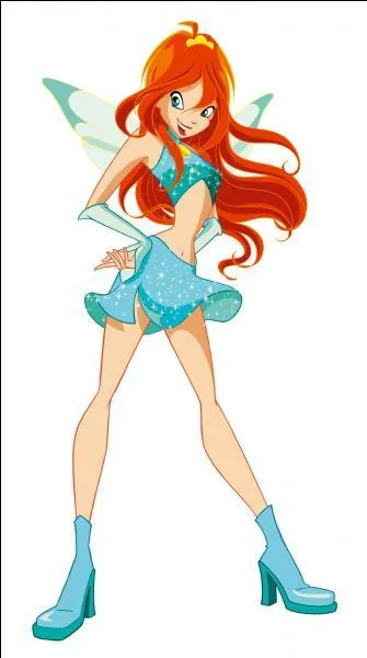 Quel est son pouvoir ?