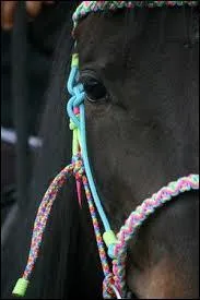 Quelles sont les différentes façons de longer ?