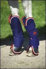 Quelles sont les protections et les actions à faire (indispensables et facultatives) de transport ?