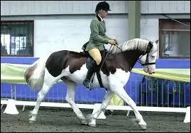 Ce cheval est pie ... (compléter la phrase).