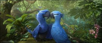 Blu a un léger problème, il est le dernier mâle de son espèce et il ne sait pas voler, alors évidemment ça lui complique la vie, mais tout ça va changer car il part pour ...