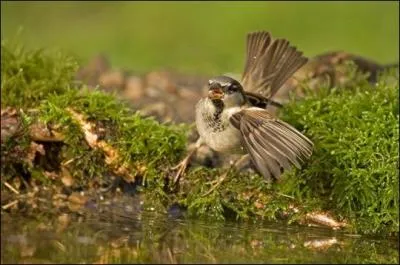 Film historique, qui vous permettra de prendre le thé à 17 heures !