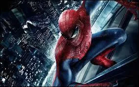 "The Amazing Spider-Man" de Marc Webb est, par rapport aux "Spider Man" de Sam Raimi, un/une
