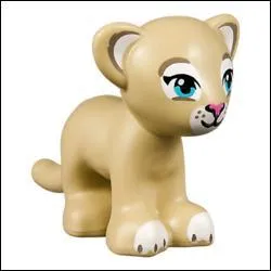 Comment s'appelle cet animal ?