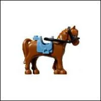 Comment s'appelle cet animal ?