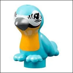 Comment s'appelle cet animal ?