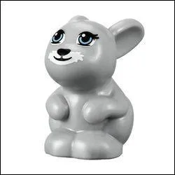 Comment s'appelle cet animal ?