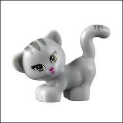 Comment s'appelle cet animal ?