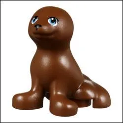 Comment s'appelle cet animal ?