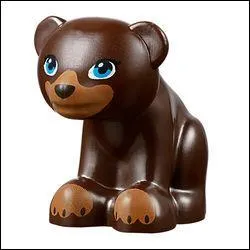 Comment s'appelle cet animal ?