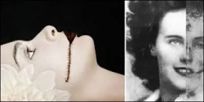 Comment était le dahlia dans une affaire de meurtre de 1947 ?