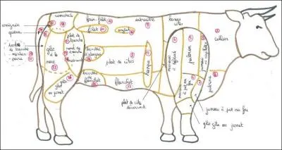 Quel surnom (familier) donne-t-on généralement aux Anglais ?