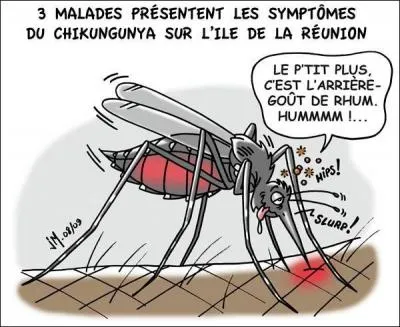 Le moustique de nos mares est en général peu dangereux. Par contre en Afrique, il est le vecteur d'une maladie qui peut s'avérer mortelle.