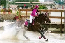 Quelles sont les disciplines présentes dans un concours complet ?