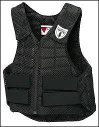 Le gilet de protection :