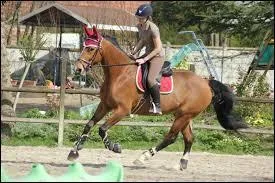 Que faut-il faire avant de monter ?