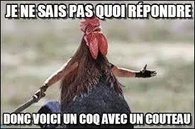 Bref. Ce quiz a l'air bien moins réussi que les précédents. Je suis réellement désolée, ... bon.