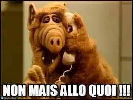 ... quiz sont loin d'être parfaits, je suis d'accord.