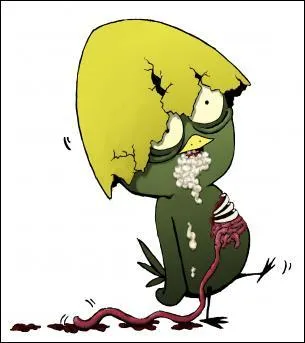 Quelle phrase répète-t-il souvent ?