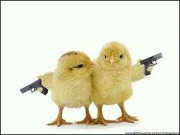 Quel animal dispose de trois paupières pour protéger ses yeux ?