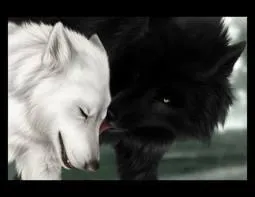 Quelle couleur n'est pas une couleur ?