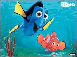 L'expression  Sec comme de la merde de poisson  signifie :